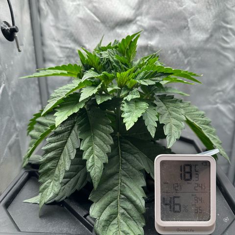 Geflügel und Feingebäck growlog timeline photo