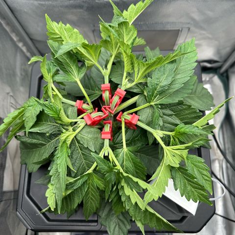 Geflügel und Feingebäck growlog timeline photo