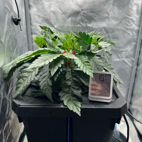Geflügel und Feingebäck growlog timeline photo