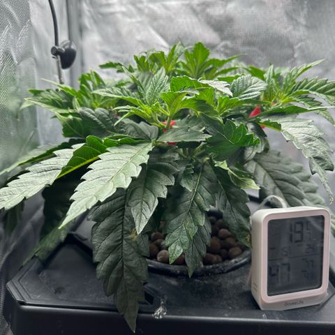 Geflügel und Feingebäck growlog timeline photo