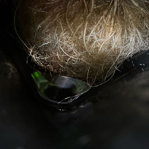 Geflügel und Feingebäck growlog timeline photo