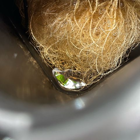 Geflügel und Feingebäck growlog timeline photo
