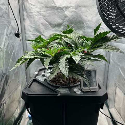 Geflügel und Feingebäck growlog timeline photo