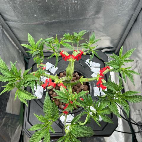 Geflügel und Feingebäck growlog timeline photo