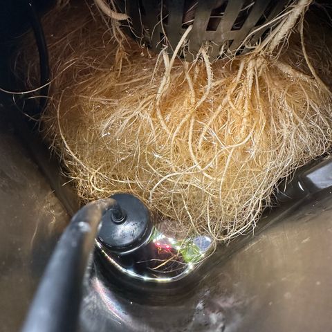 Geflügel und Feingebäck growlog timeline photo