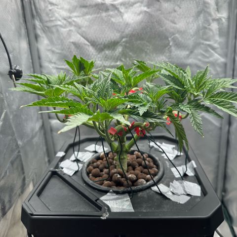 Geflügel und Feingebäck growlog timeline photo