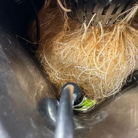 Geflügel und Feingebäck growlog timeline photo