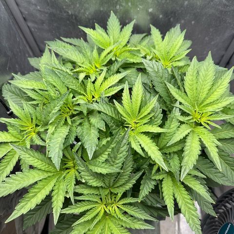 Geflügel und Feingebäck growlog timeline photo