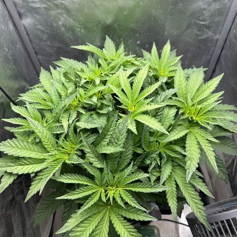 Geflügel und Feingebäck growlog timeline photo