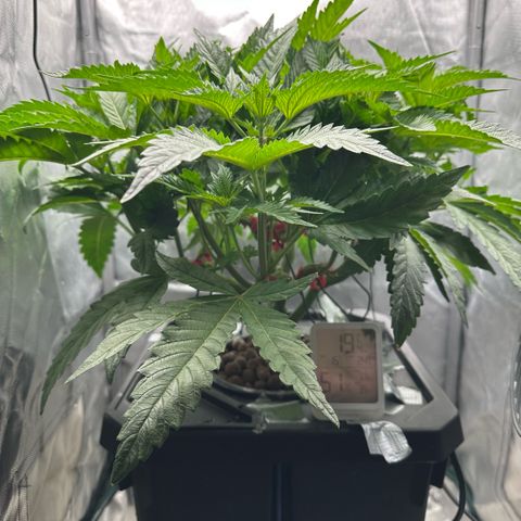 Geflügel und Feingebäck growlog timeline photo