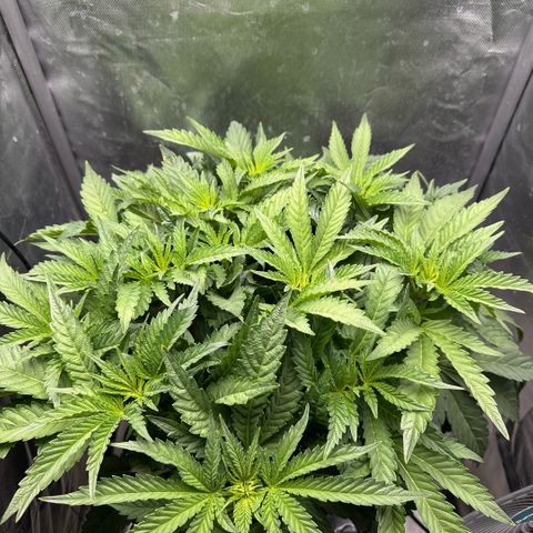 Geflügel und Feingebäck growlog timeline photo