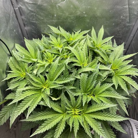 Geflügel und Feingebäck growlog timeline photo