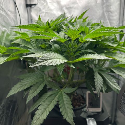 Geflügel und Feingebäck growlog timeline photo