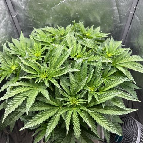 Geflügel und Feingebäck growlog timeline photo