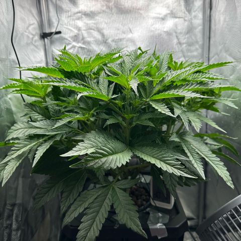 Geflügel und Feingebäck growlog timeline photo
