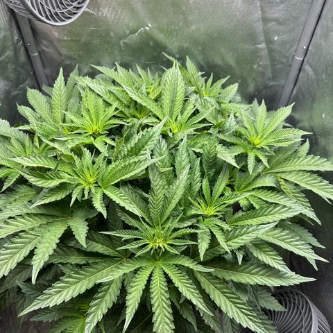 Geflügel und Feingebäck growlog timeline photo