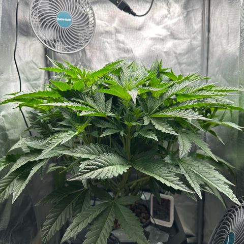 Geflügel und Feingebäck growlog timeline photo
