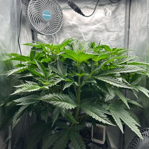 Geflügel und Feingebäck growlog timeline photo