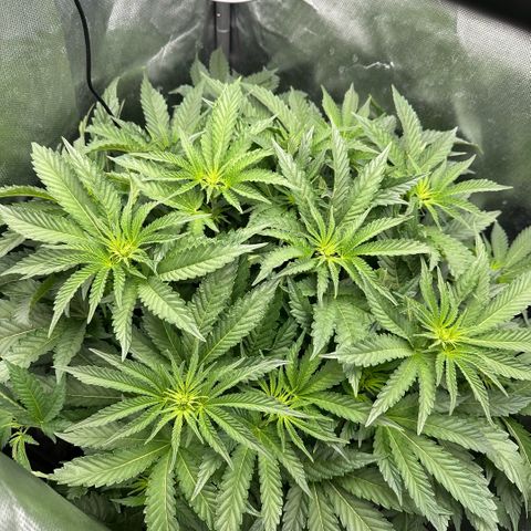 Geflügel und Feingebäck growlog timeline photo