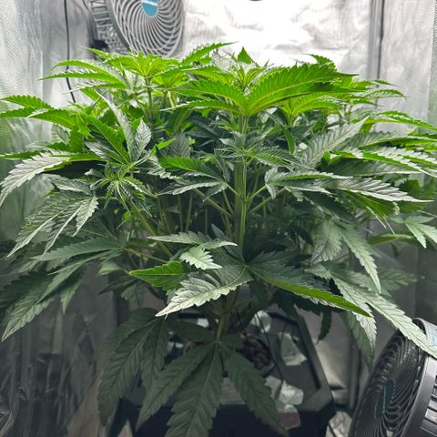 Geflügel und Feingebäck growlog timeline photo