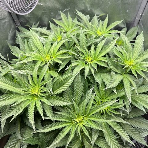 Geflügel und Feingebäck growlog timeline photo