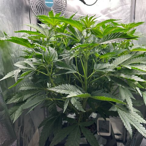 Geflügel und Feingebäck growlog timeline photo