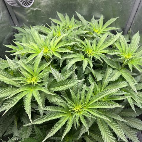 Geflügel und Feingebäck growlog timeline photo