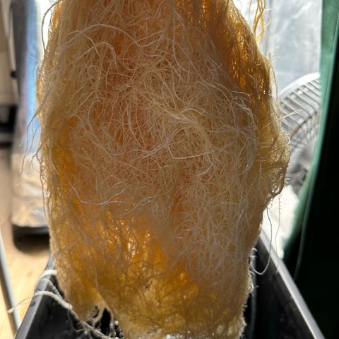 Geflügel und Feingebäck growlog timeline photo