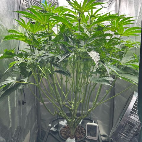 Geflügel und Feingebäck growlog timeline photo
