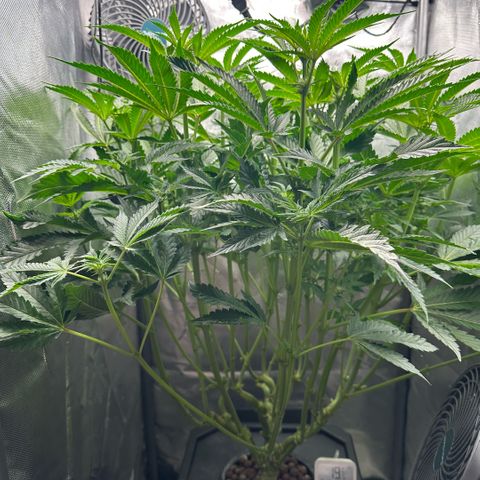 Geflügel und Feingebäck growlog timeline photo
