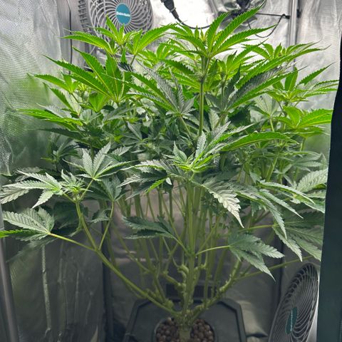 Geflügel und Feingebäck growlog timeline photo