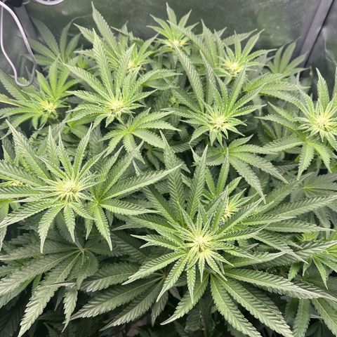 Geflügel und Feingebäck growlog timeline photo