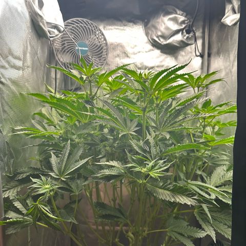 Geflügel und Feingebäck growlog timeline photo
