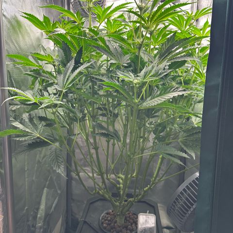 Geflügel und Feingebäck growlog timeline photo