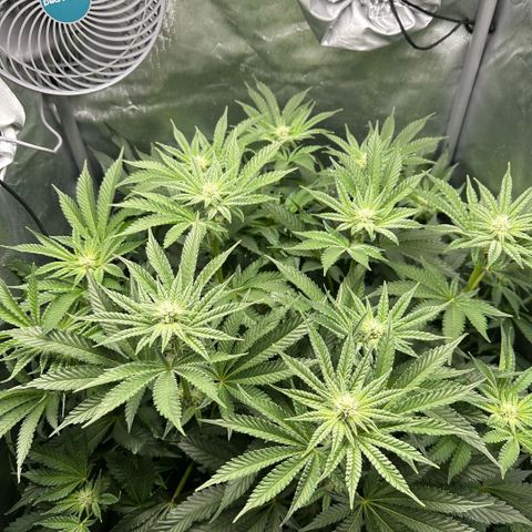 Geflügel und Feingebäck growlog timeline photo