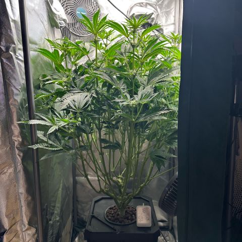 Geflügel und Feingebäck growlog timeline photo
