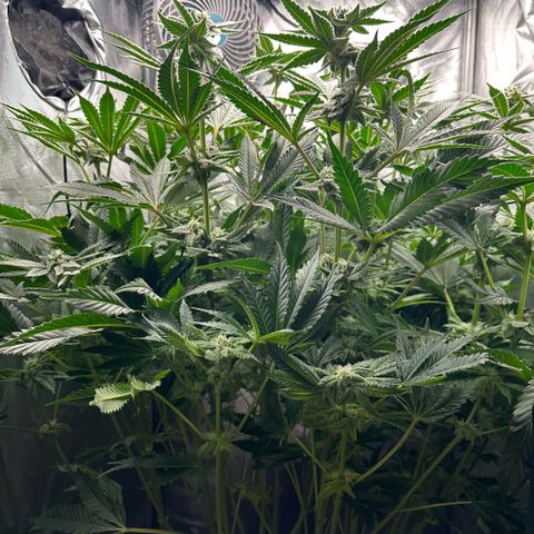 Geflügel und Feingebäck growlog timeline photo