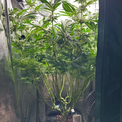 Geflügel und Feingebäck growlog timeline photo