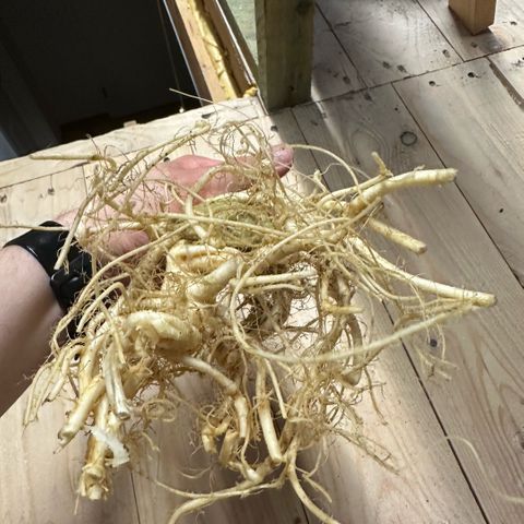 Geflügel und Feingebäck growlog timeline photo