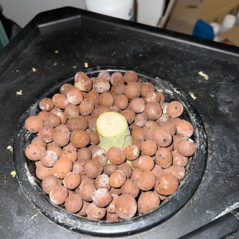 Geflügel und Feingebäck growlog timeline photo