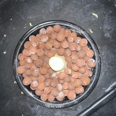 Geflügel und Feingebäck growlog timeline photo