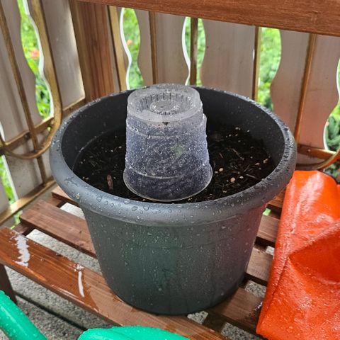 Dark Devil Auto growlog timeline photo