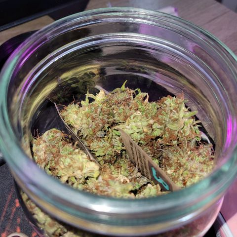 Double Cookies Auto growlog timeline photo