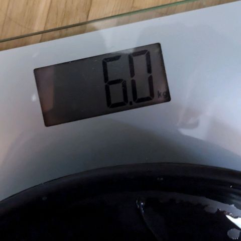 Hildegard  growlog photo: Mit 1,2 Liter Wasser besprüht. Von 5,5 kg auf 6 kg. Viel Drain, zu früh gegossen. Nächstes gießen bei 3 kg.