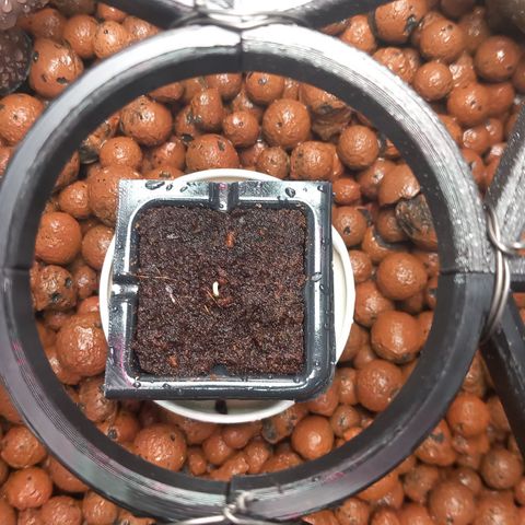 Alices Green Gelato  growlog timeline photo