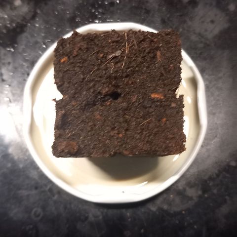 Alices Green Gelato  growlog timeline photo
