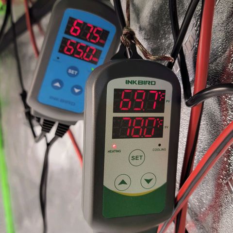 Auto GDP growlog timeline photo