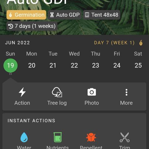 Auto GDP growlog timeline photo