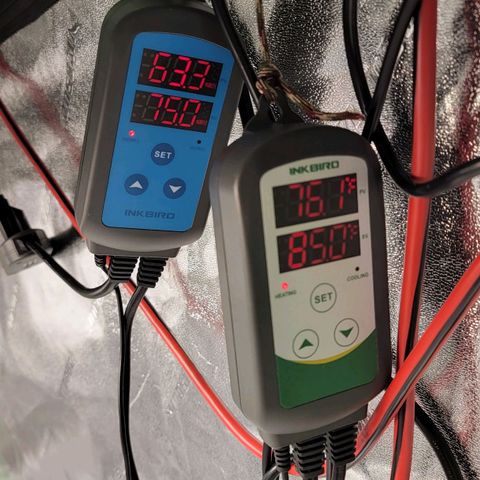 Auto GDP growlog timeline photo