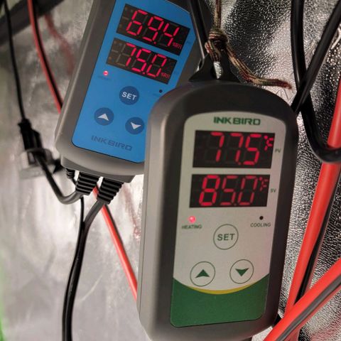Auto GDP growlog timeline photo